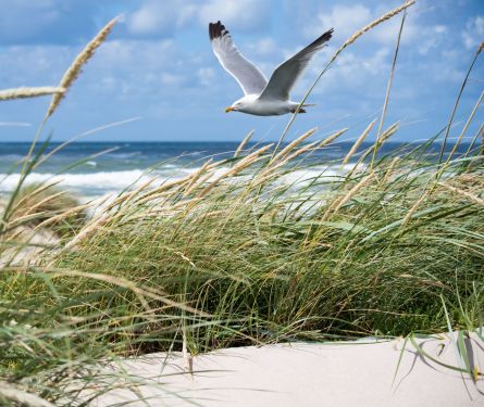 paysage bord de mer