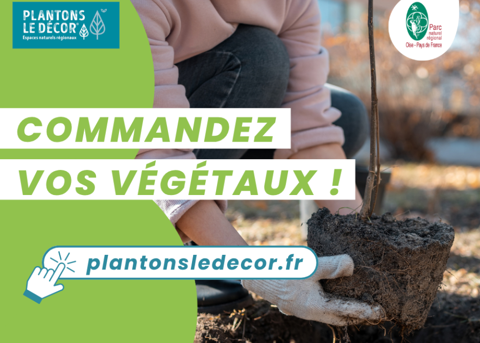 Plantons le décor 2026