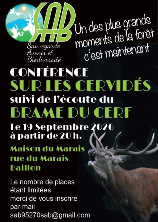 SAB Brame de cerf sept