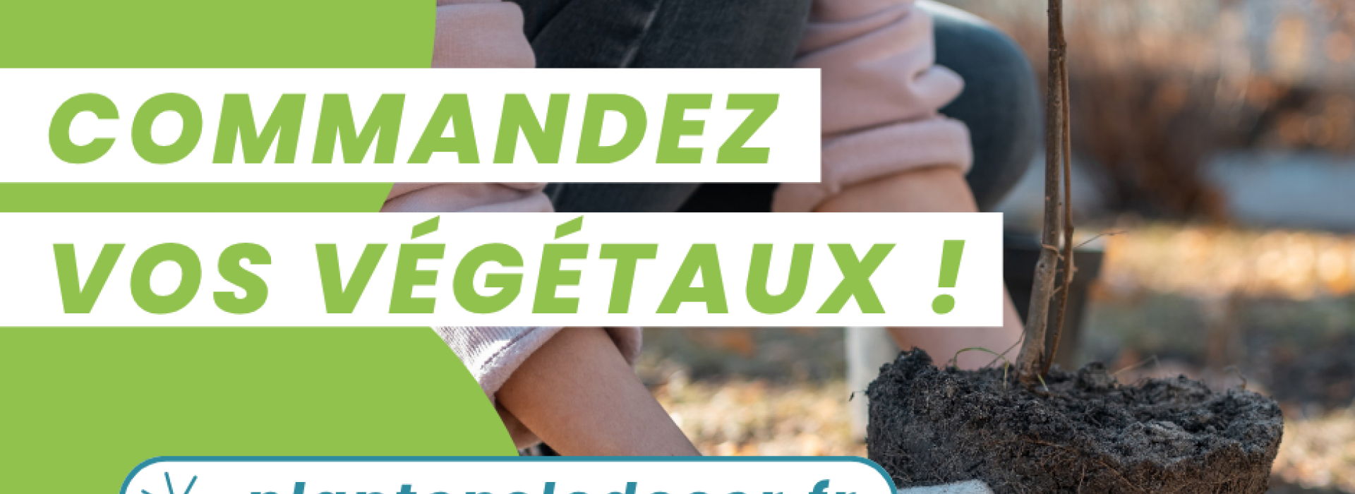Plantons le décor 2026