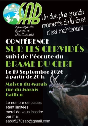 SAB Brame de cerf sept