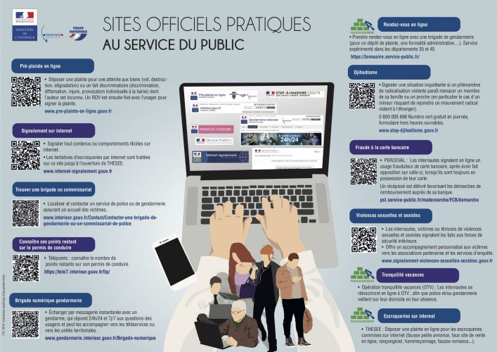 Infographie des téléservices