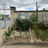 Aménagement d'un enclos à poubelles végétalisé 