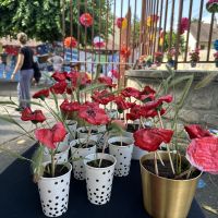 COQUELICOTS