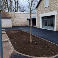 cours de l'école et plantation de 2 arbres