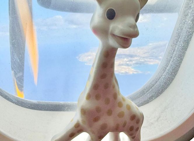 Sophie la girafe en avion